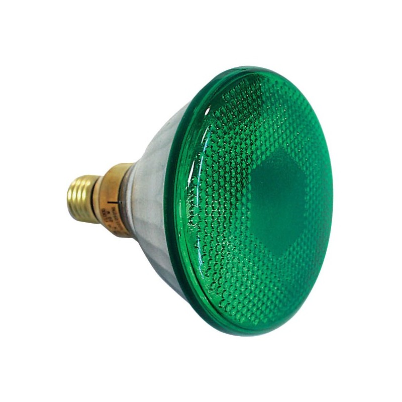 Lampes - Ampoules  - Par 38 E27 Flood  240V 90W, Green