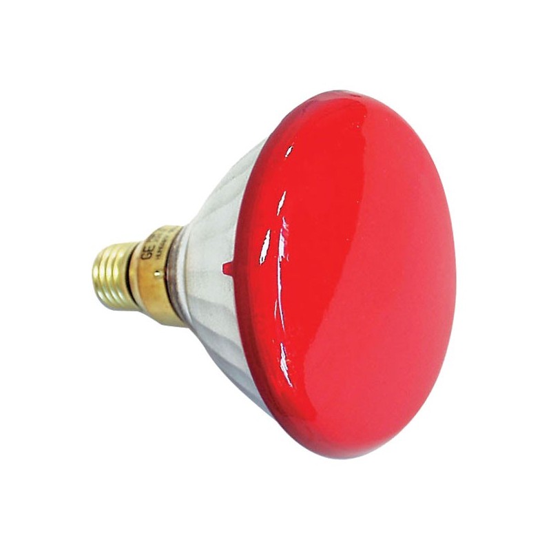 Lampes - Ampoules - Par 38 E27 Flood 240V 90W, Red